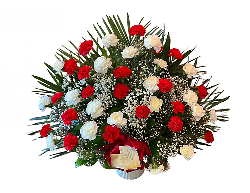 Red and White Carnations