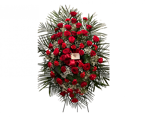 Red Roses and Carnations