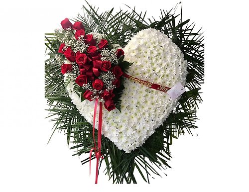 White Pomps Red Rose Overcast