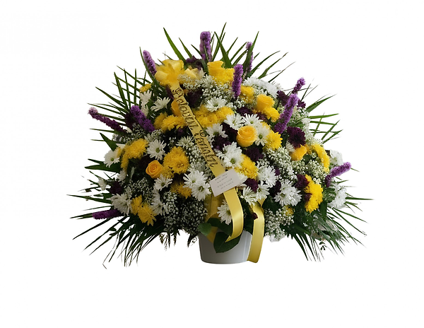 Yellow and Purple