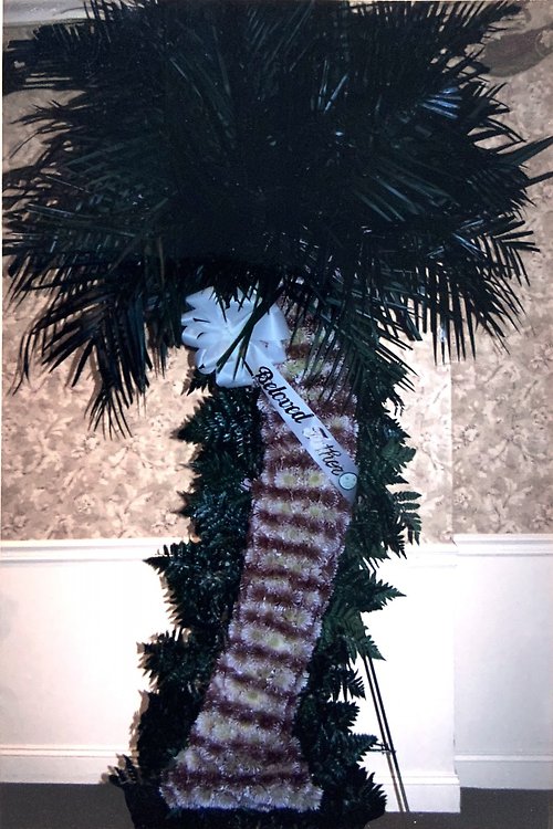 Palm Tree
