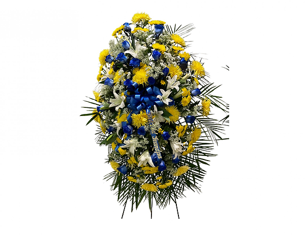 Blue and Yellow