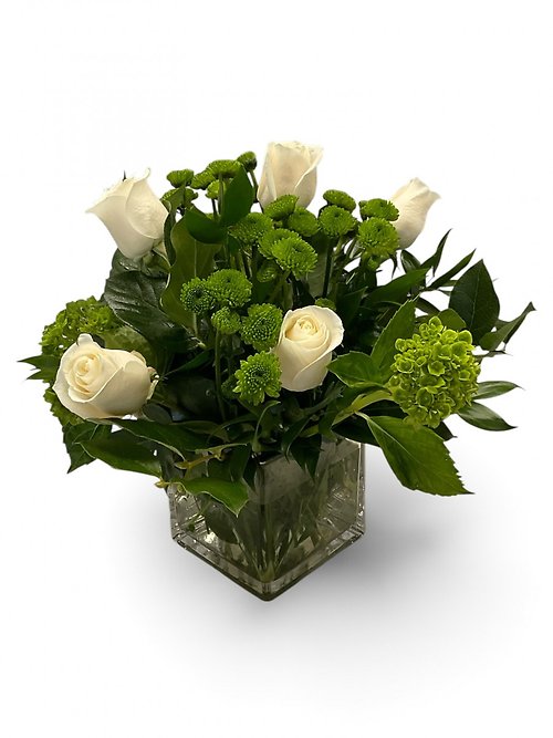 Fresh & Lovely 