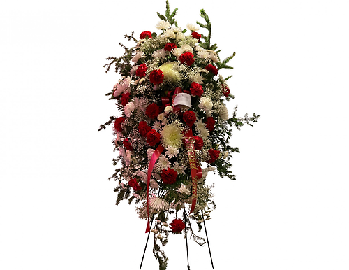 Red Carnations