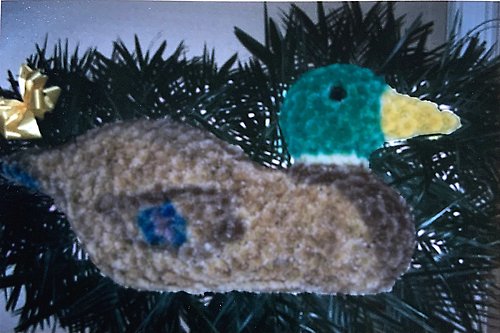 Duck