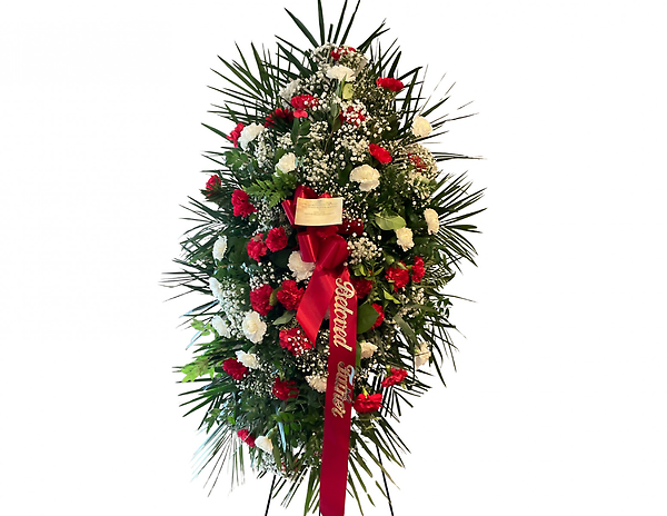 Red and White Carnation Spray