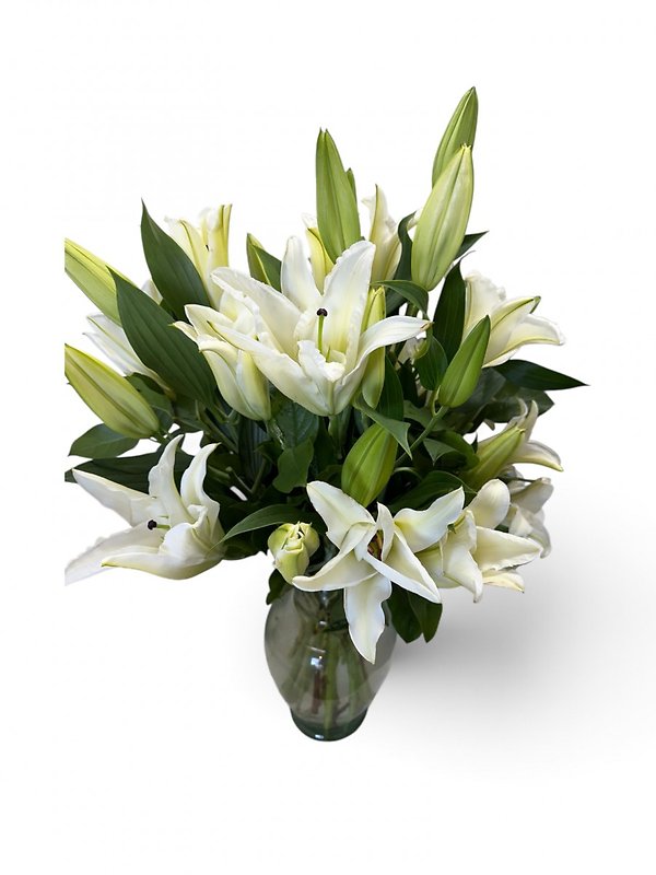 Cheerful Wishes
